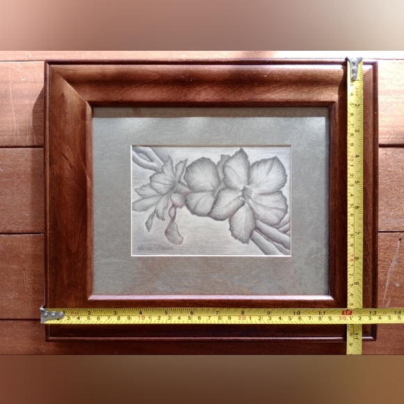 Framed Original Original Drawing of Desert Rose Floral Artwork. Signed by Artist - Picture 5 of 16